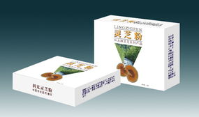 東莞號悅廣告 一站式綜合廣告設(shè)計(jì)服務(wù)專家